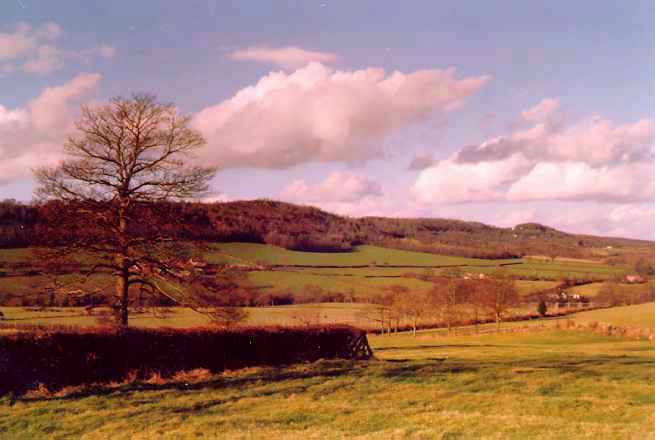 The Suckley Hills, as seen from Birchwood Lane in the 1970s