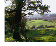 View to the west, from the Suckley Hills, Autumn 1999. (c) 1999 Keith Bramich